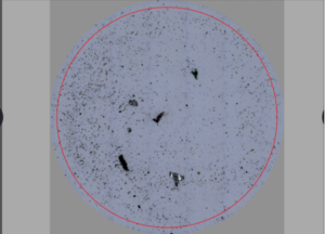 清洁度滤膜分析.png